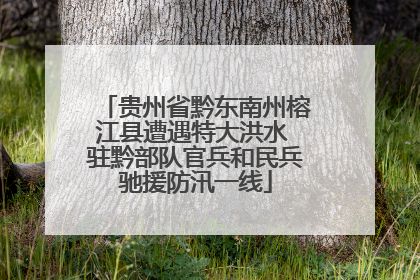 贵州省黔东南州榕江县遭遇特大洪水 驻黔部队官兵和民兵驰援防汛一线