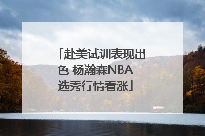 赴美试训表现出色 杨瀚森NBA选秀行情看涨