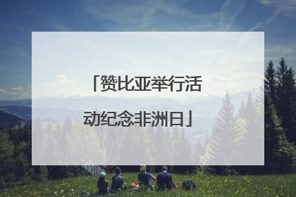 赞比亚举行活动纪念非洲日