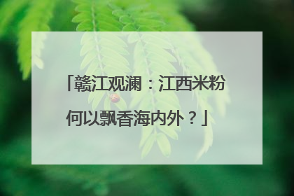 赣江观澜：江西米粉何以飘香海内外？
