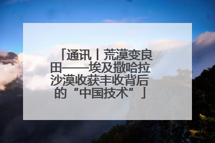 通讯丨荒漠变良田——埃及撒哈拉沙漠收获丰收背后的“中国技术”