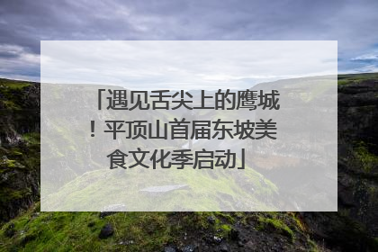遇见舌尖上的鹰城！平顶山首届东坡美食文化季启动