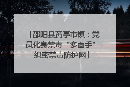 邵阳县黄亭市镇：党员化身禁毒“多面手” 织密禁毒防护网