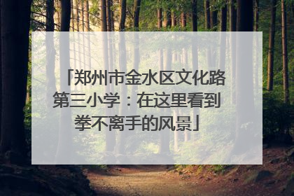 郑州市金水区文化路第三小学：在这里看到拳不离手的风景