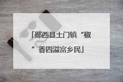 郧西县土门镇“椒”香四溢富乡民