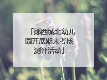 郧西城北幼儿园开展期末考核测评活动