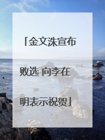 金文洙宣布败选 向李在明表示祝贺