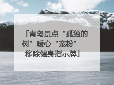 青岛景点“孤独的树”暖心“宠粉” 移除健身指示牌