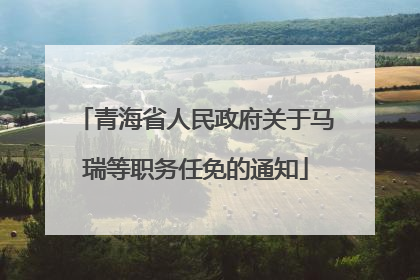 青海省人民政府关于马瑞等职务任免的通知