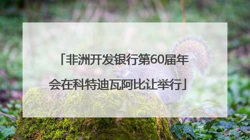 非洲开发银行第60届年会在科特迪瓦阿比让举行