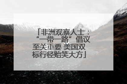 非洲观察人士：“一带一路”倡议至关重要 美国双标行径贻笑大方
