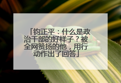 钧正平：什么是政治干部的好样子？被全网赞扬的他，用行动作出了回答