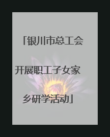 银川市总工会开展职工子女家乡研学活动