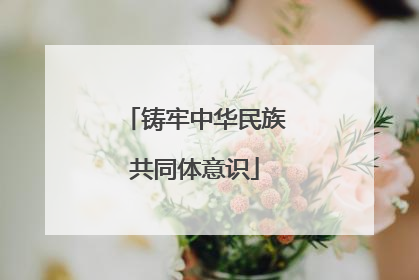 铸牢中华民族共同体意识