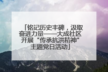 铭记历史丰碑，汲取奋进力量——大成社区开展“传承抗洪精神”主题党日活动