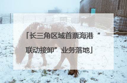 长三角区域首票海港“联动接卸”业务落地