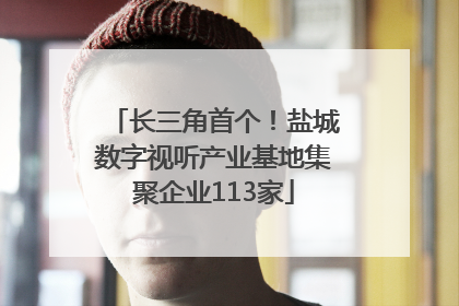 长三角首个！盐城数字视听产业基地集聚企业113家