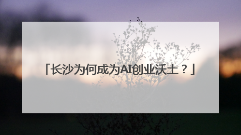 长沙为何成为AI创业沃土？