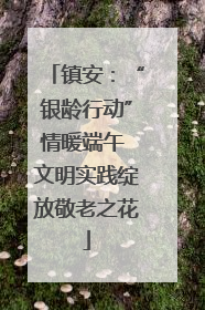 镇安：“银龄行动”情暖端午 文明实践绽放敬老之花