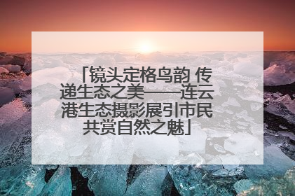 镜头定格鸟韵 传递生态之美——连云港生态摄影展引市民共赏自然之魅