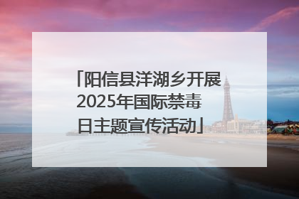 阳信县洋湖乡开展2025年国际禁毒日主题宣传活动
