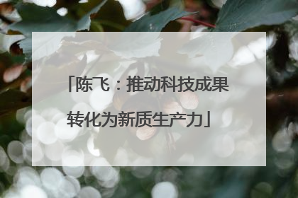 陈飞：推动科技成果转化为新质生产力