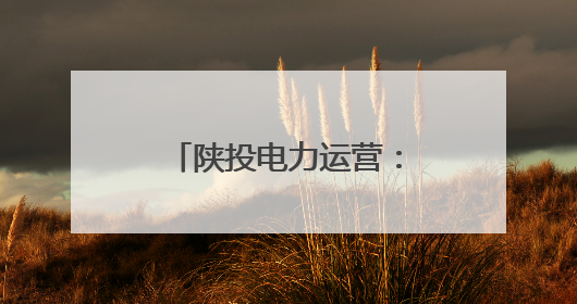 陕投电力运营：用脚步丈量民情 以实干温暖人心