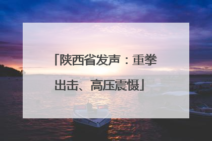陕西省发声：重拳出击、高压震慑