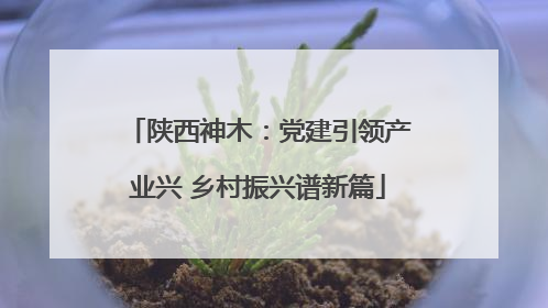 陕西神木：党建引领产业兴 乡村振兴谱新篇