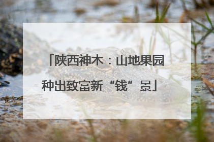 陕西神木：山地果园种出致富新“钱”景