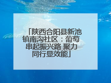 陕西合阳县新池镇南沟社区：葡萄串起振兴路 聚力同行显效能