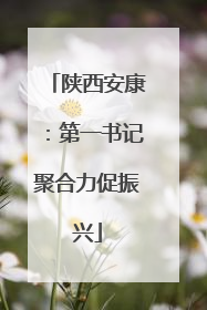 陕西安康：第一书记聚合力促振兴