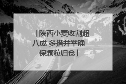 陕西小麦收割超八成 多措并举确保颗粒归仓