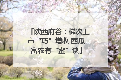 陕西府谷：梯次上市“巧”增收 西瓜富农有“蜜”诀