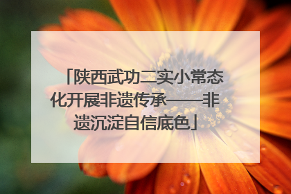 陕西武功二实小常态化开展非遗传承——非遗沉淀自信底色