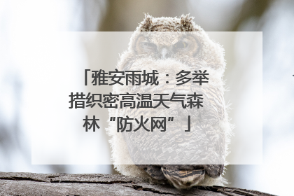 雅安雨城：多举措织密高温天气森林“防火网”