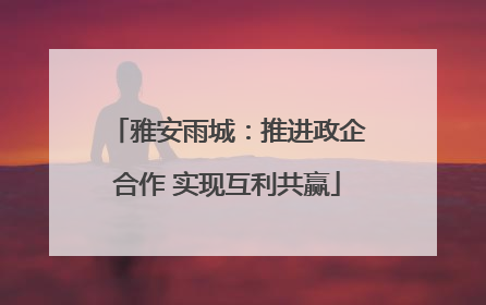 雅安雨城：推进政企合作 实现互利共赢
