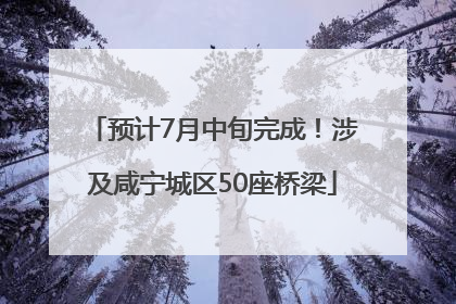 预计7月中旬完成！涉及咸宁城区50座桥梁