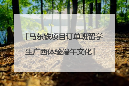马东铁项目订单班留学生广西体验端午文化