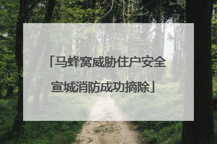 马蜂窝威胁住户安全 宣城消防成功摘除