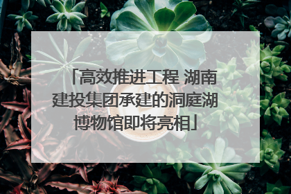 高效推进工程 湖南建投集团承建的洞庭湖博物馆即将亮相