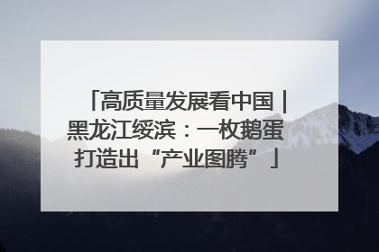 高质量发展看中国｜黑龙江绥滨：一枚鹅蛋打造出“产业图腾”