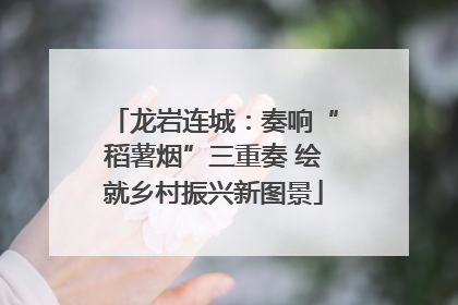 龙岩连城：奏响“稻薯烟”三重奏 绘就乡村振兴新图景