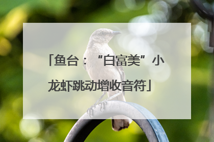 鱼台：“白富美”小龙虾跳动增收音符