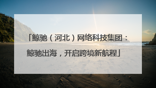 鲸驰（河北）网络科技集团：鲸驰出海，开启跨境新航程