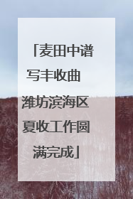 麦田中谱写丰收曲 潍坊滨海区夏收工作圆满完成