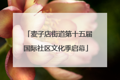 麦子店街道第十五届国际社区文化季启幕