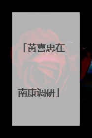 黄喜忠在南康调研