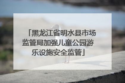 黑龙江省明水县市场监管局加强儿童公园游乐设施安全监管