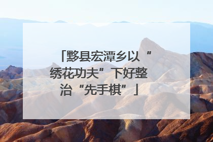 黟县宏潭乡以“绣花功夫”下好整治“先手棋”